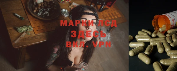 мескалин Алексин