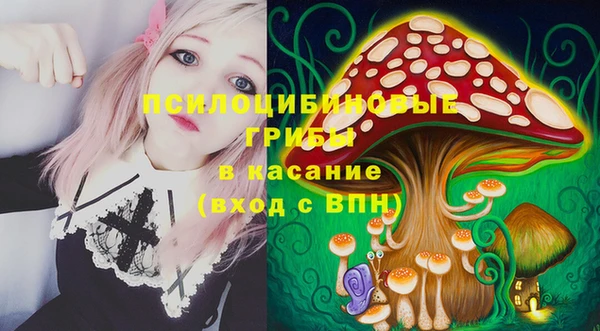 гидропоника Алексеевка