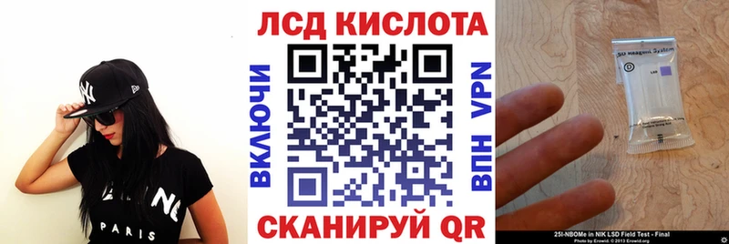 купить закладку  Шебекино  Наркотические марки 1500мкг 