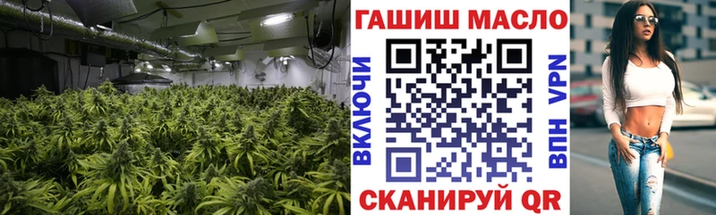 закладки  Шебекино  Дистиллят ТГК гашишное масло 