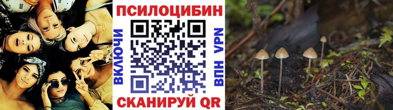 Псилоцибиновые грибы Cubensis  ОМГ ОМГ ссылки  Шебекино  что такое наркотик 