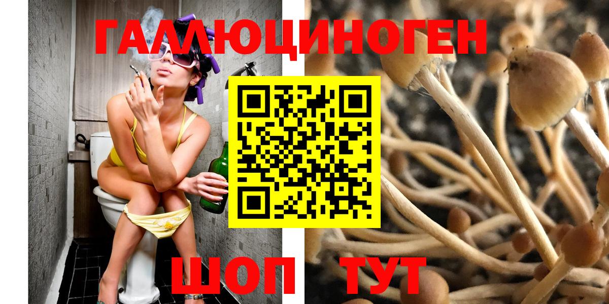 Псилоцибиновые грибы прущие грибы Шебекино